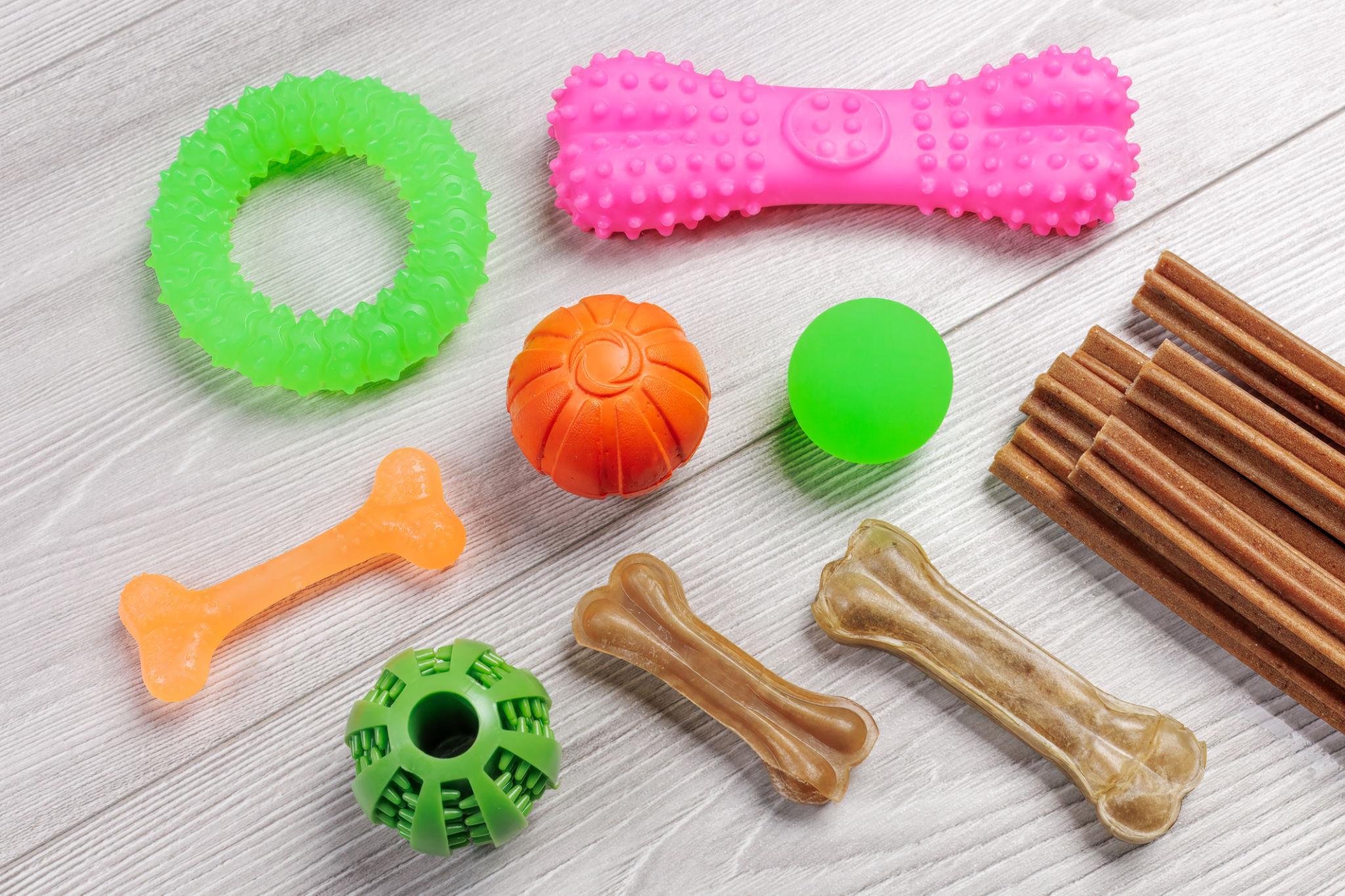 Custom Silicone Pet Chew Toys That Last: Safe, Durable, and Built for Your Brand