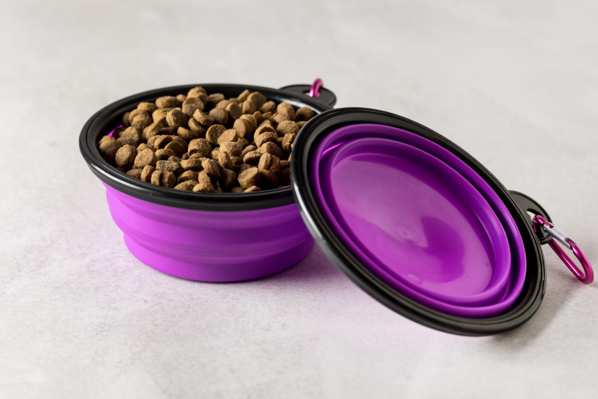 Portable, Durable, and Brand-Ready: Silicone Pet Travel Items OEM Solutions