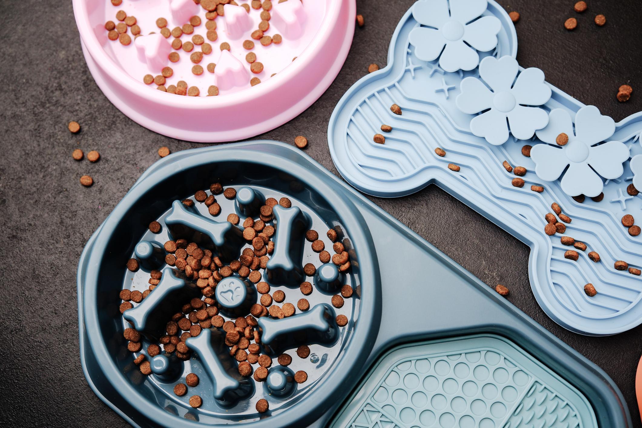 Inside a Silicone Pet Accessory Factory: How Quality and Scale Come Together