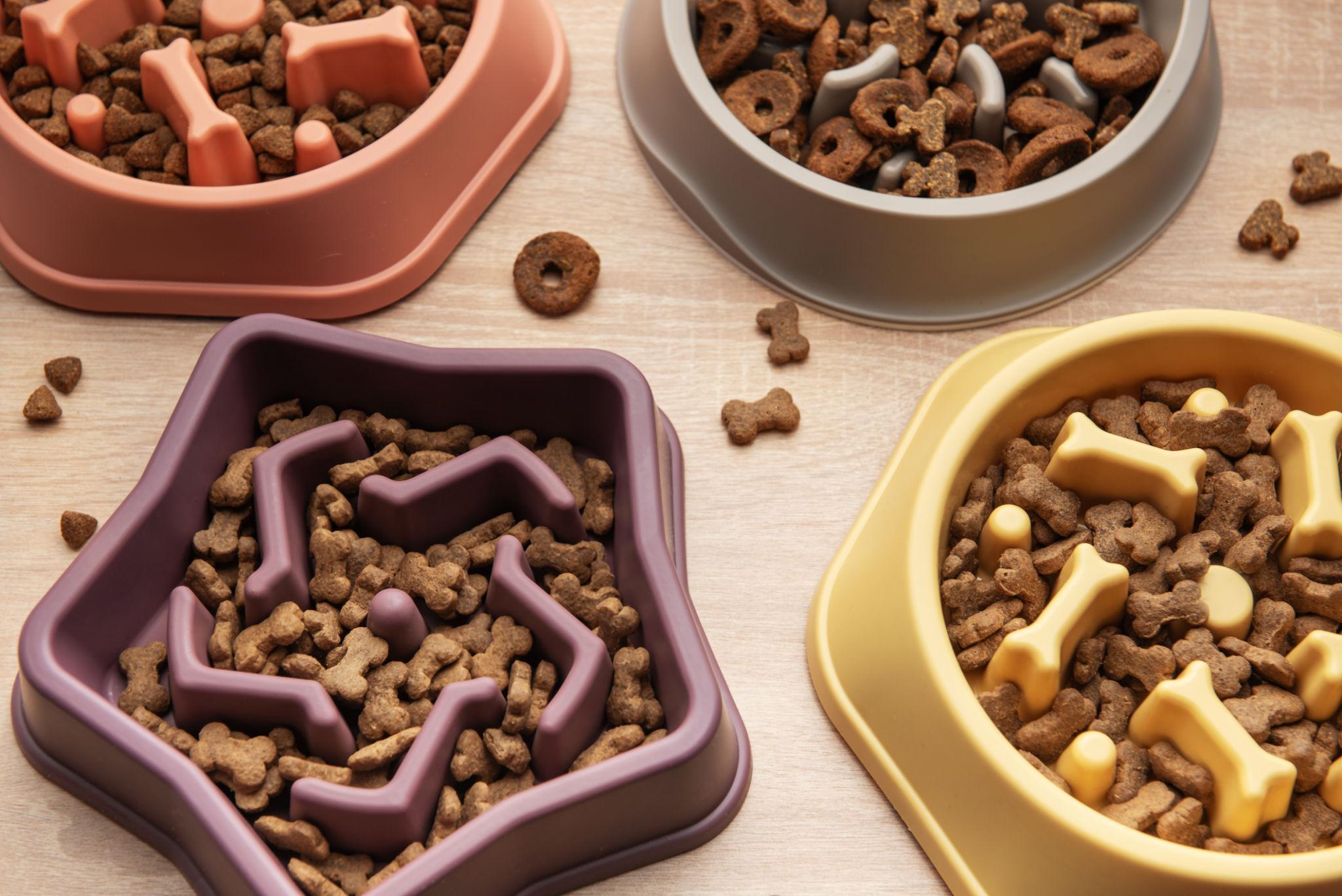 Reliable Silicone Pet Products Manufacturer for Scalable and Consistent Production