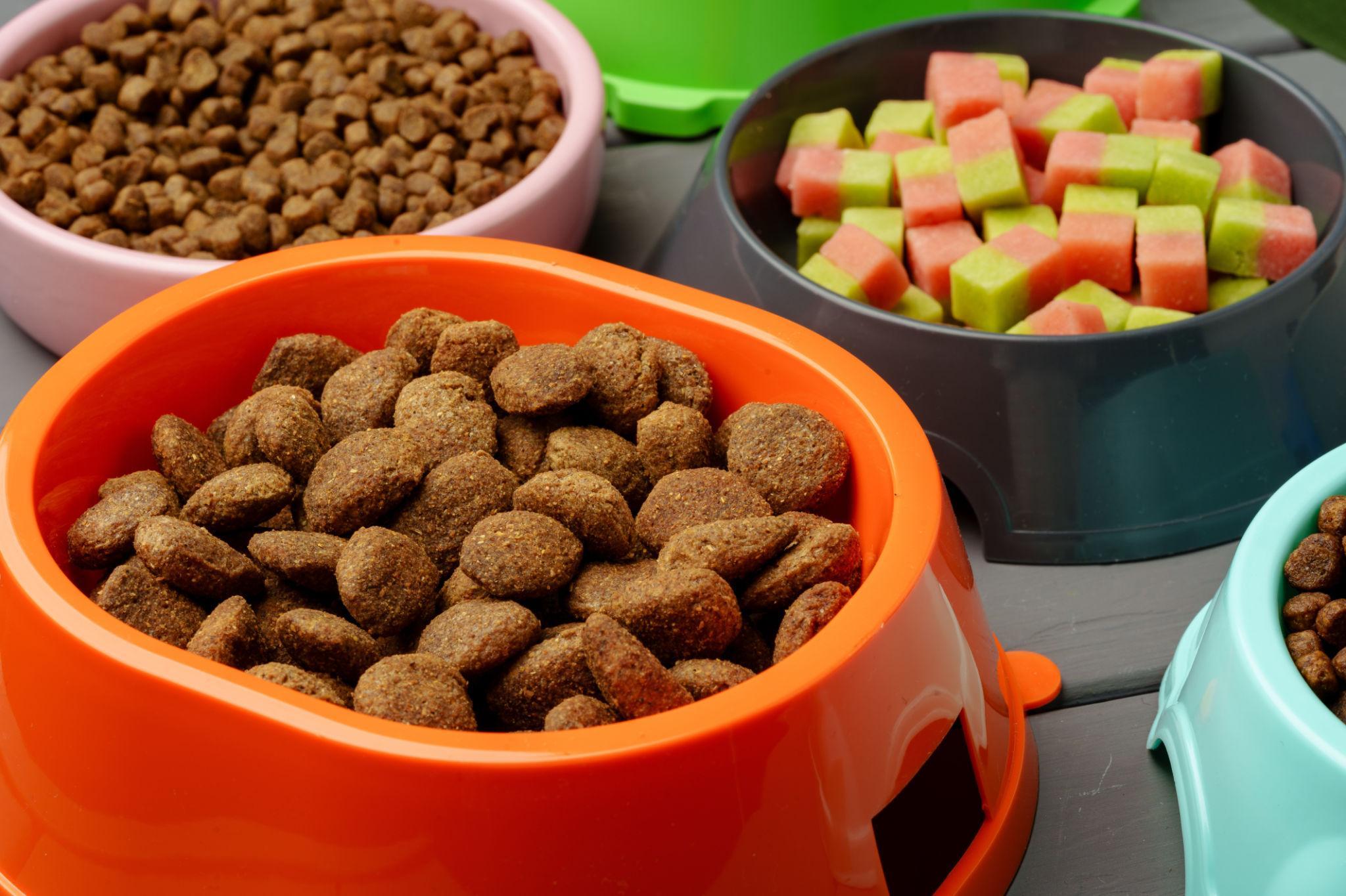 Inside a Silicone Pet Bowl Factory: Consistent Quality, Scalable Production
