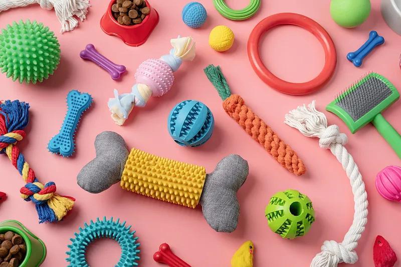 Choosing a Reliable Silicone Pet Supplier China for Scalable Product Growth