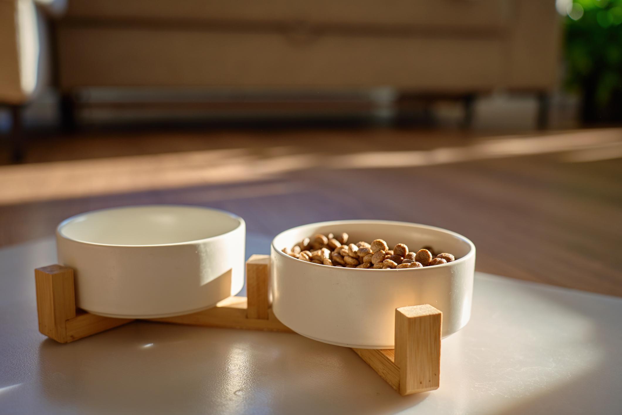High-Volume Silicone Pet Items: Choosing the Right Bulk Manufacturer for Stable Supply