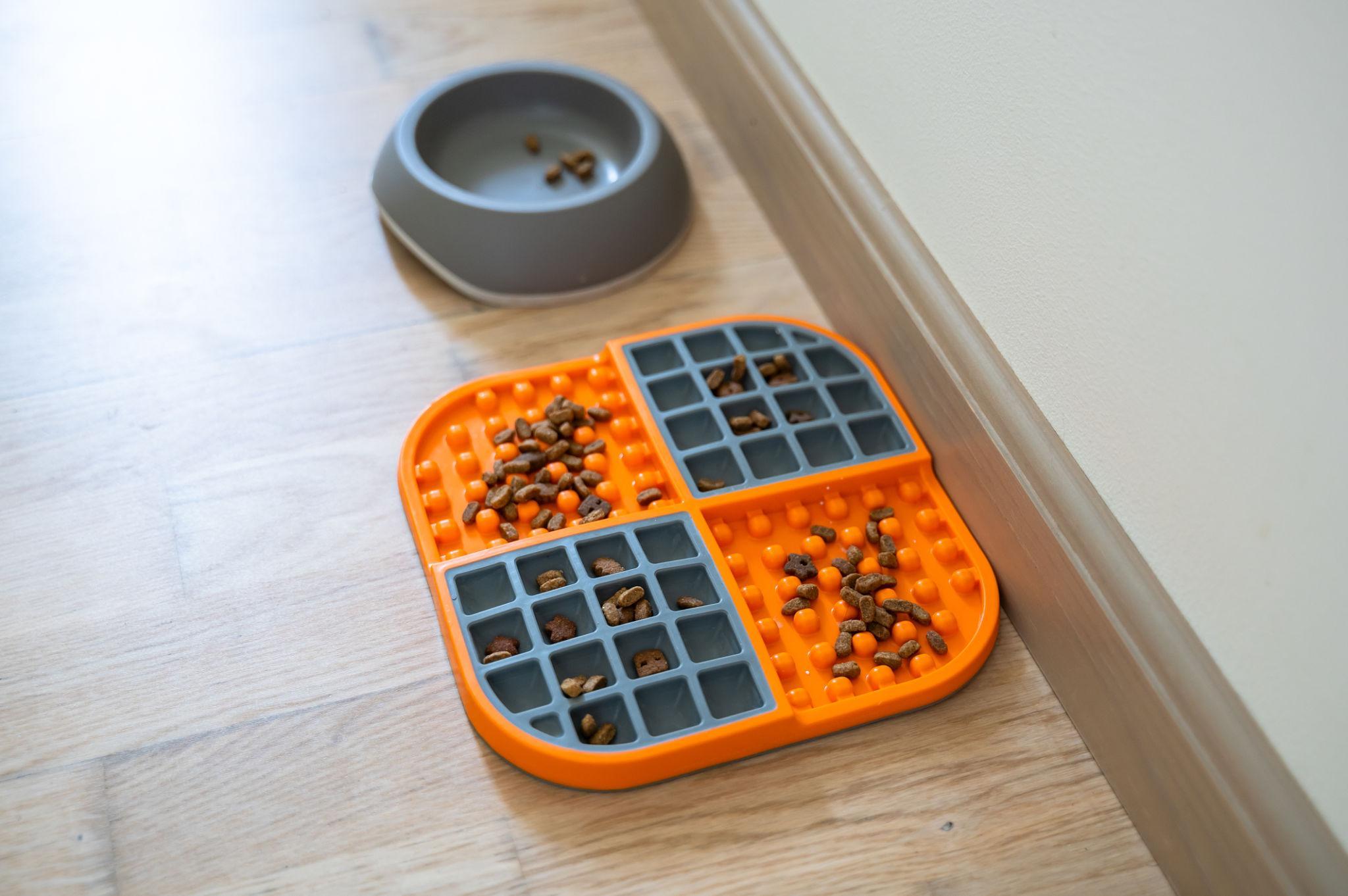 A Silicone Pet Accessories Factory That Delivers Consistency, Speed, and Customization